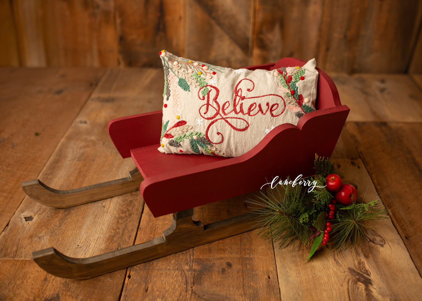 Santa's Little Sled