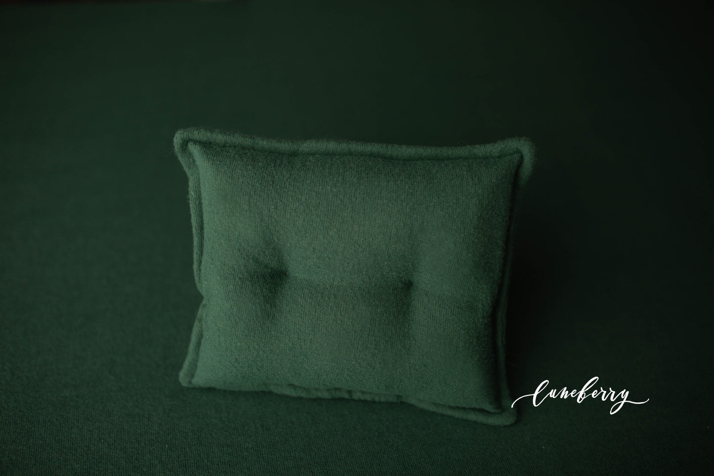 CEDAR Fabric