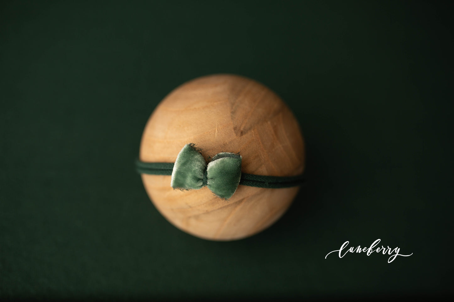 CEDAR Fabric