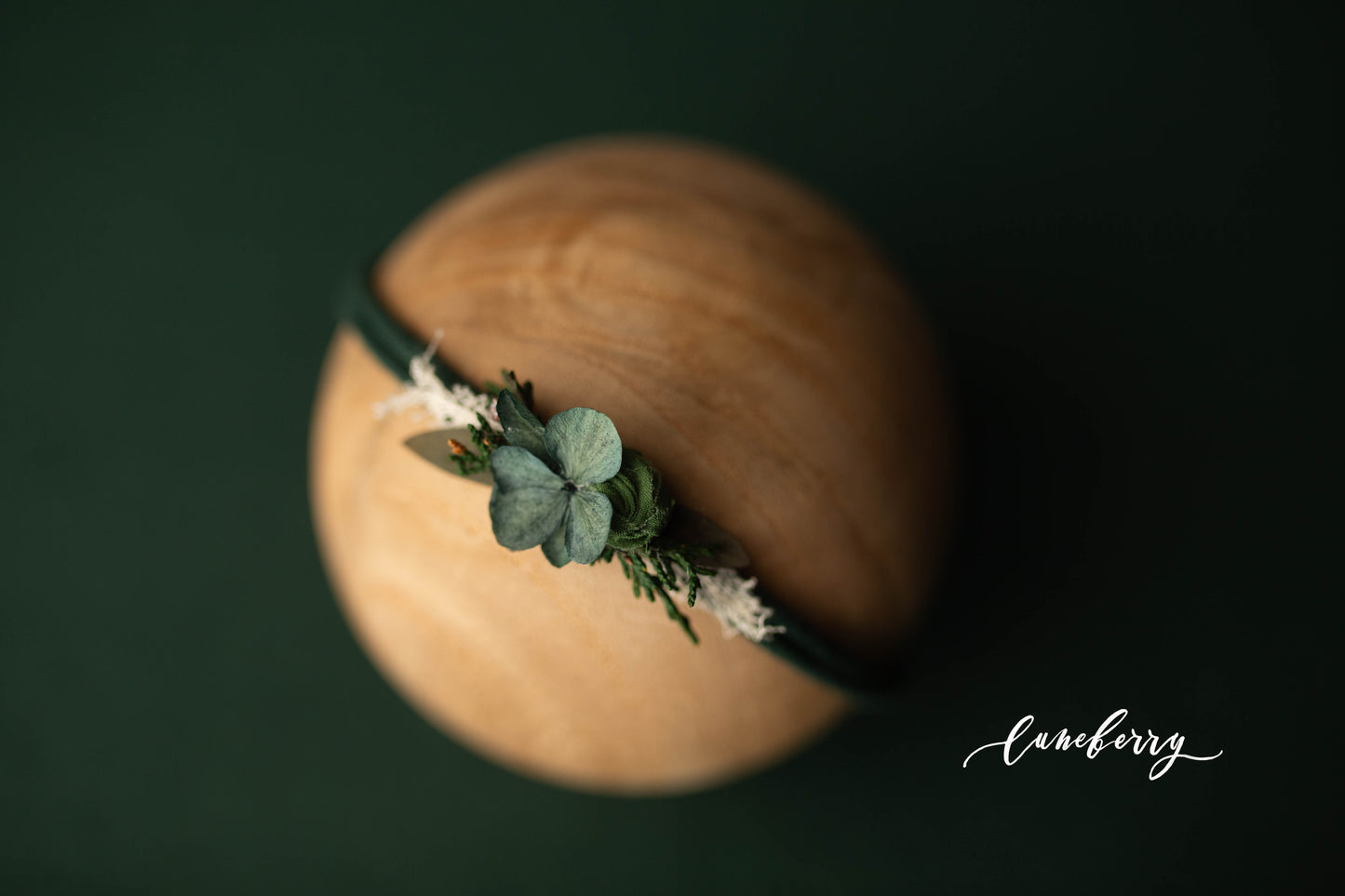 CEDAR Fabric