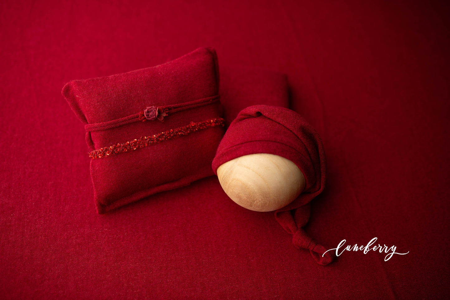 RUBY RED Fabric