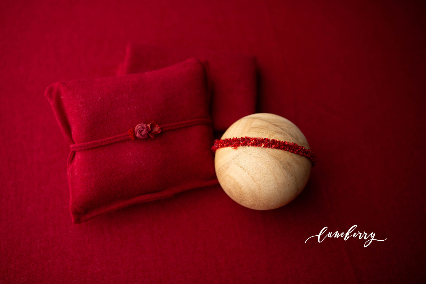 RUBY RED Fabric