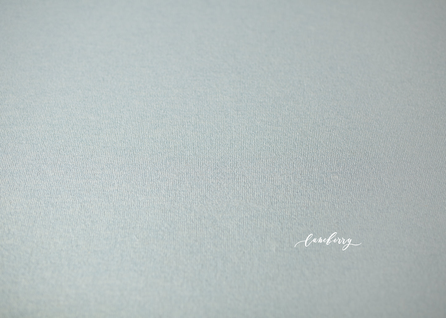 SKY BLUE Fabric