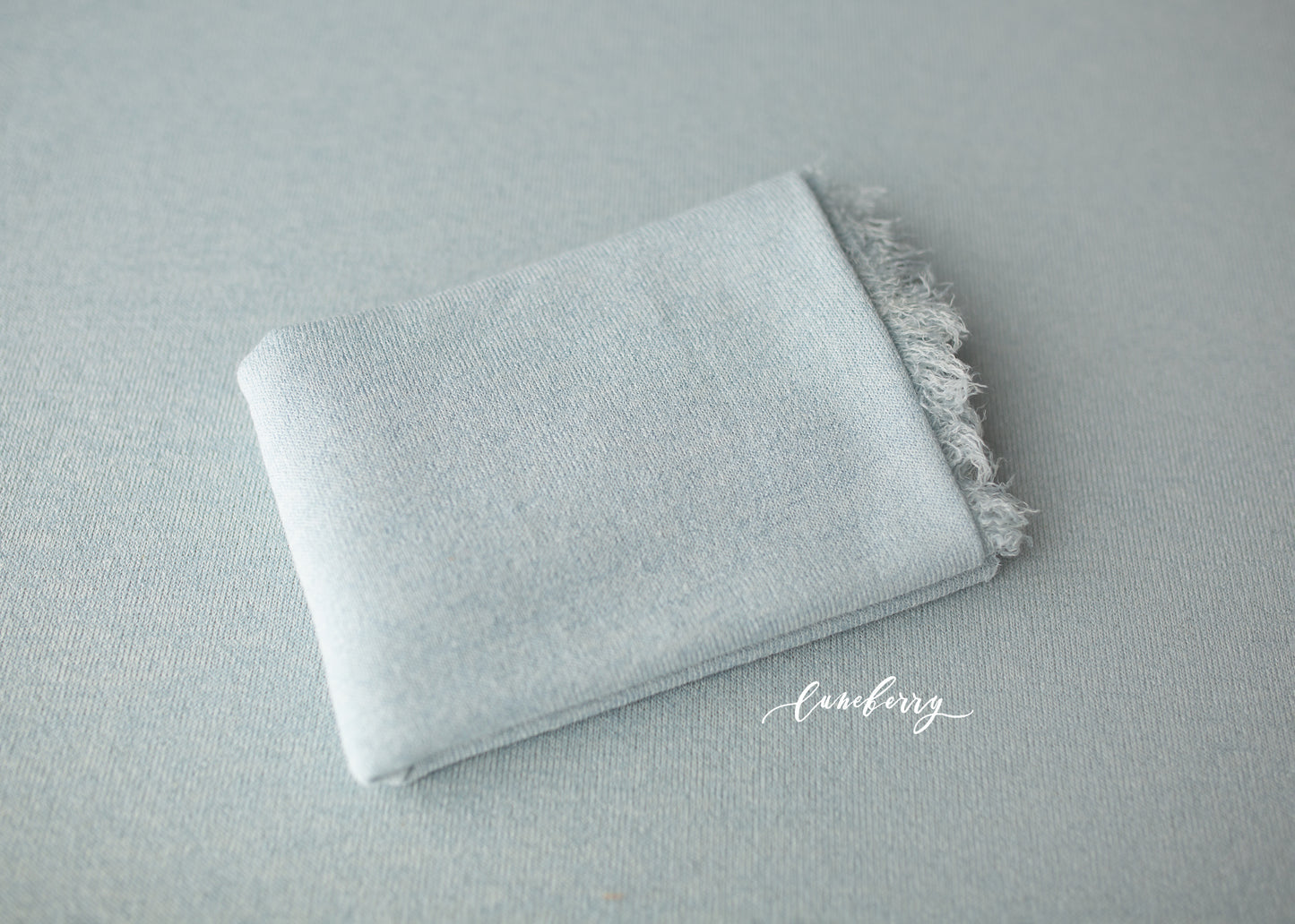 SKY BLUE Fabric