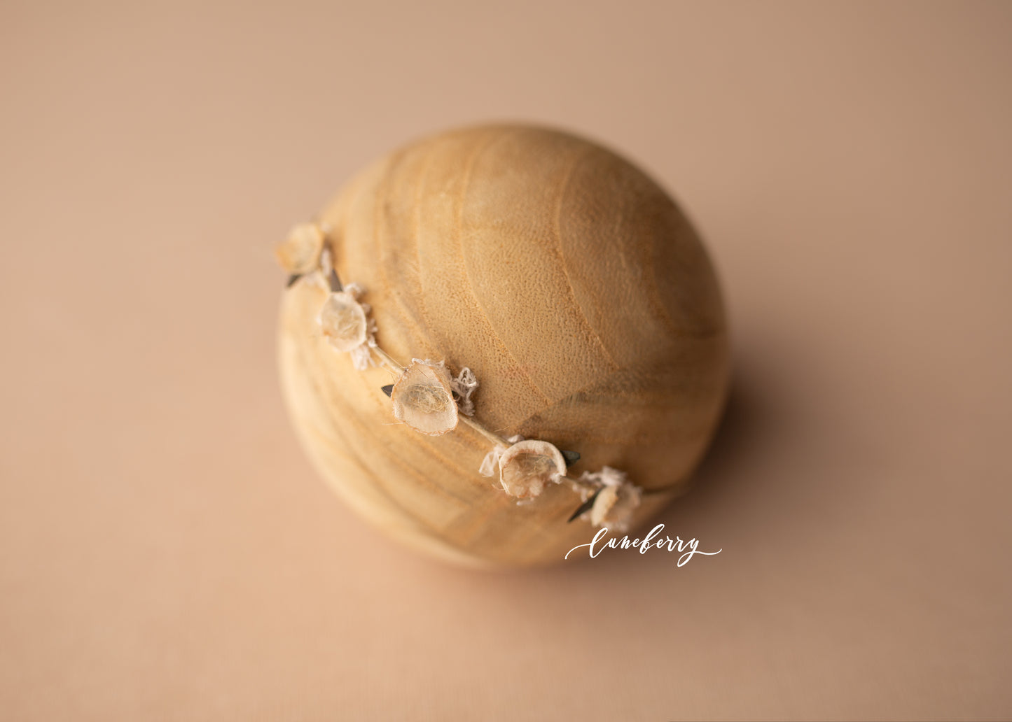 SUGARED PECAN