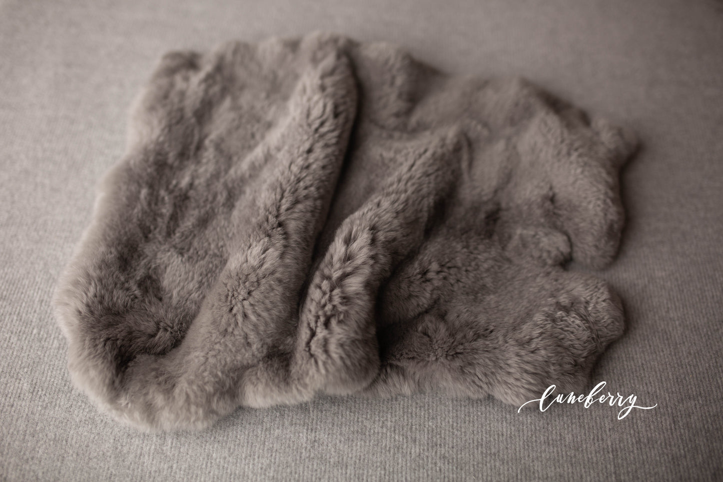 KOALA Fabric