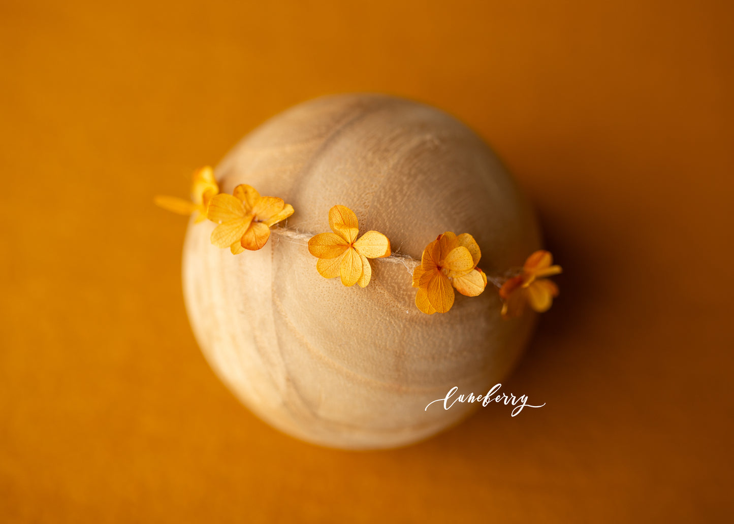 MUSTARD Fabric
