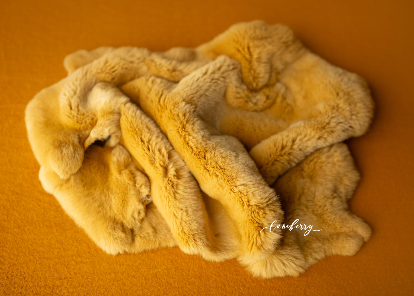 MUSTARD Fabric
