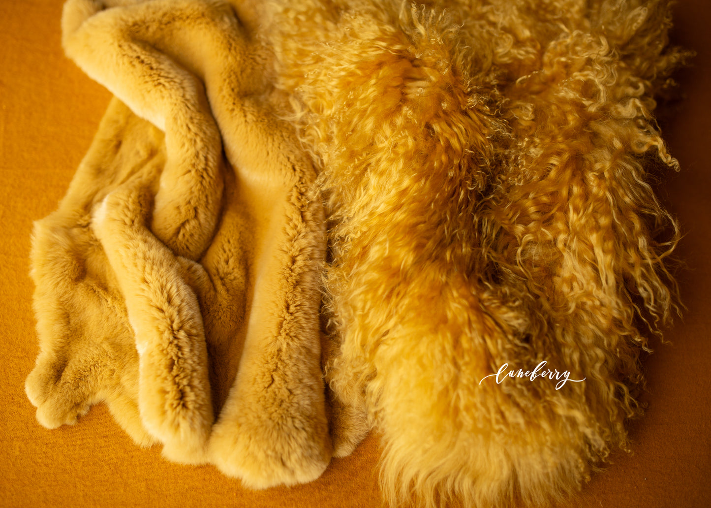 MUSTARD Fabric