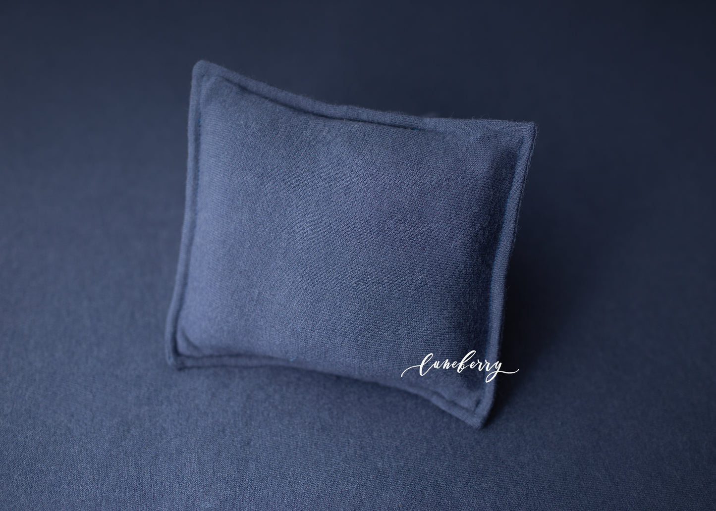 BLUE JEANS Fabric