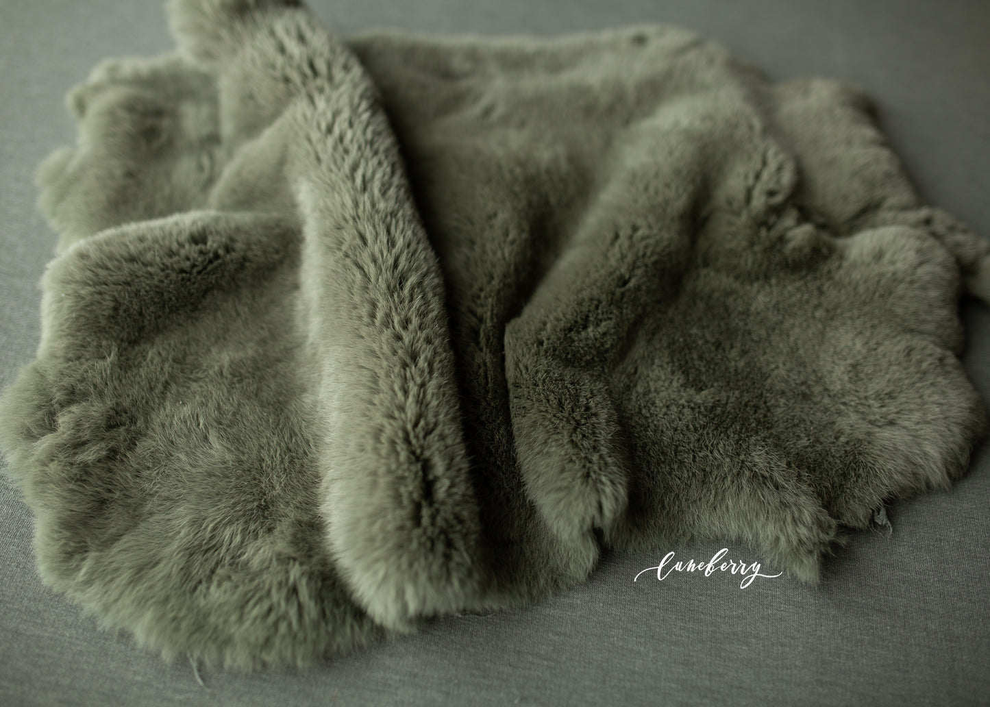 FERN Fabric