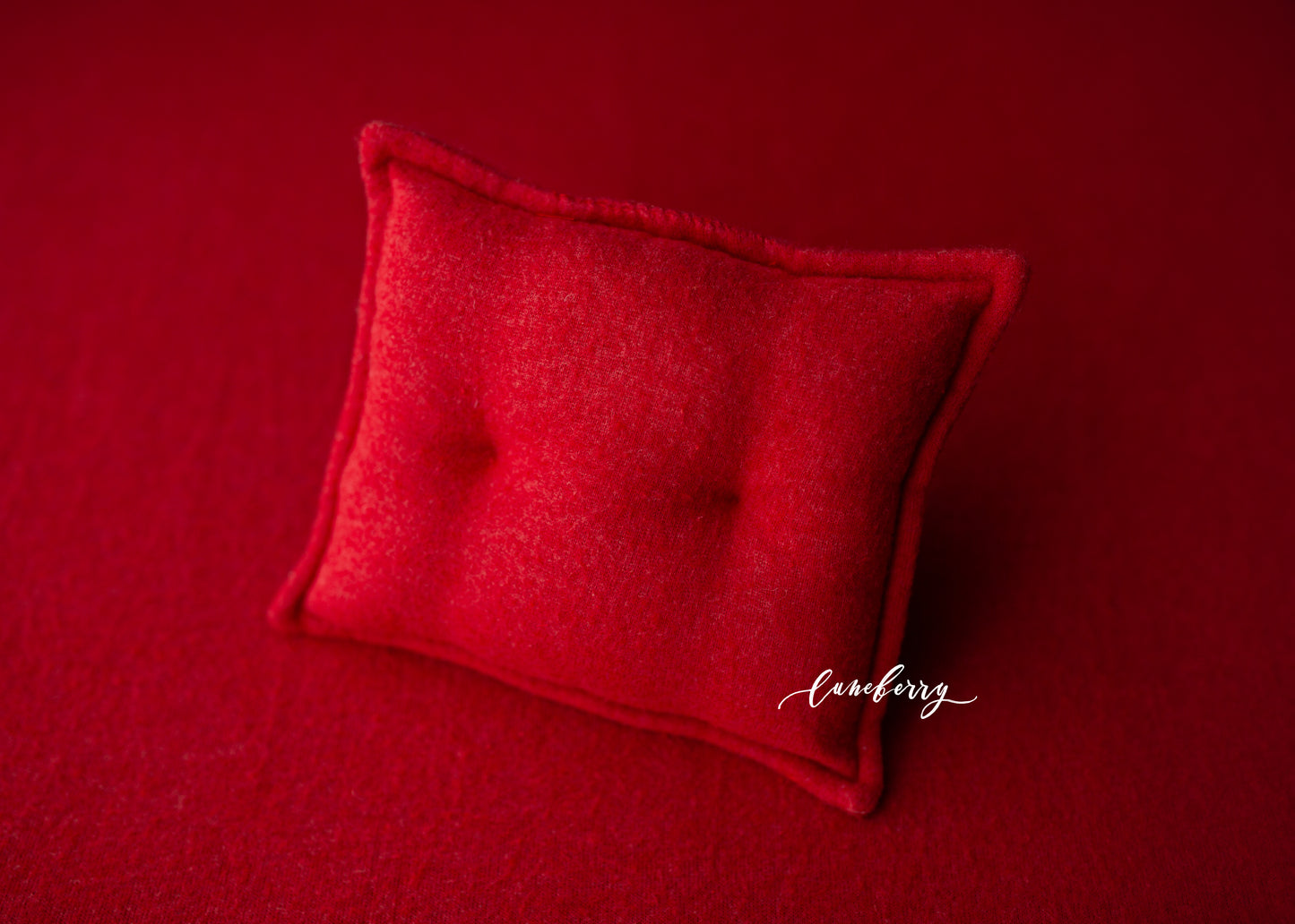 HOLIDAY RED Fabric