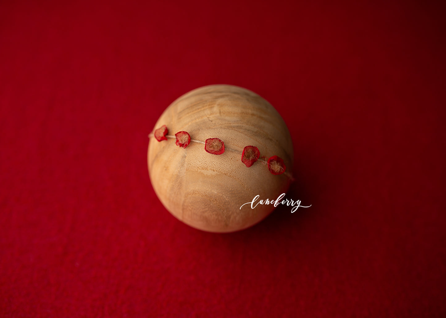 HOLIDAY RED Fabric