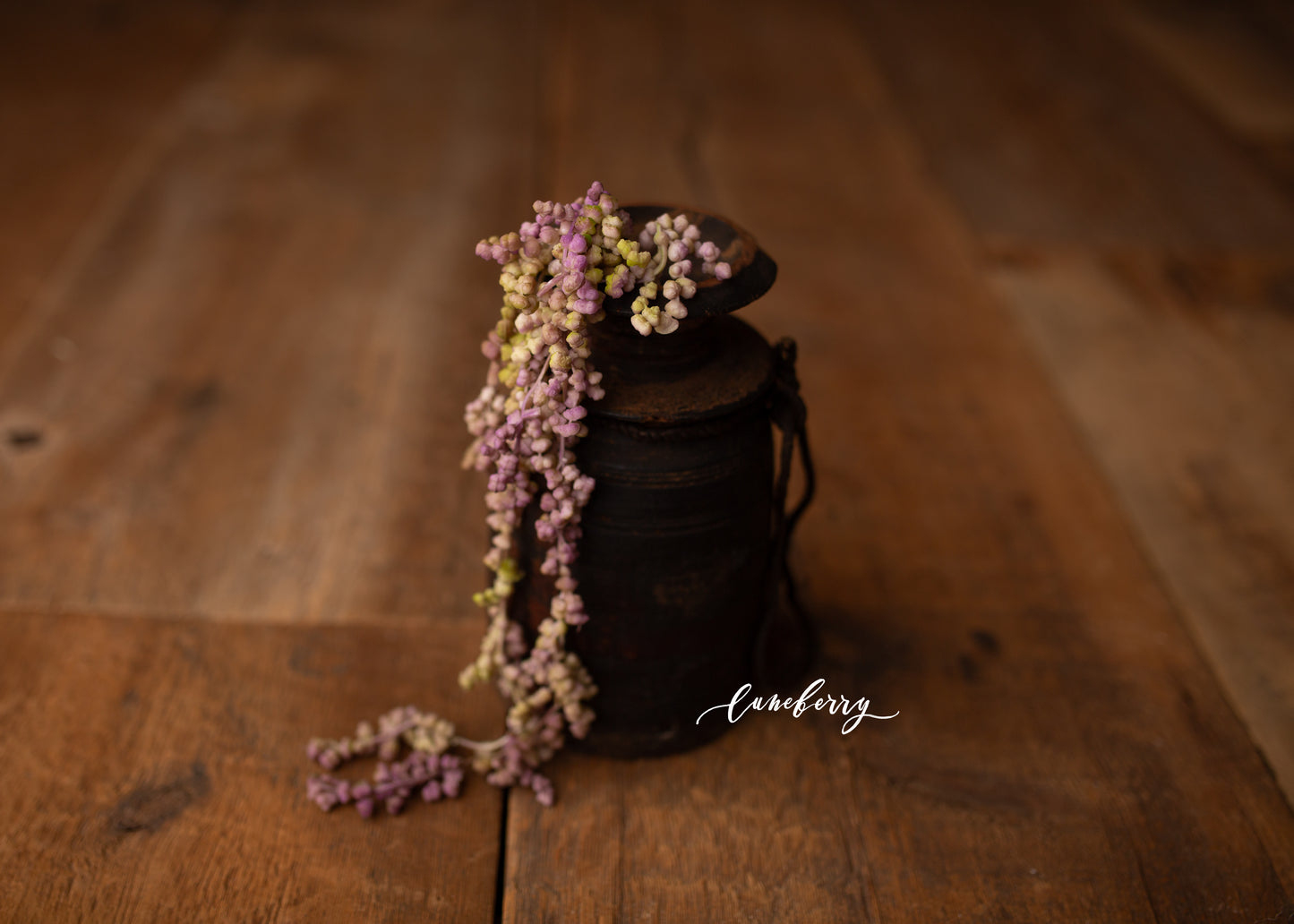 Itty Bitty Succulents