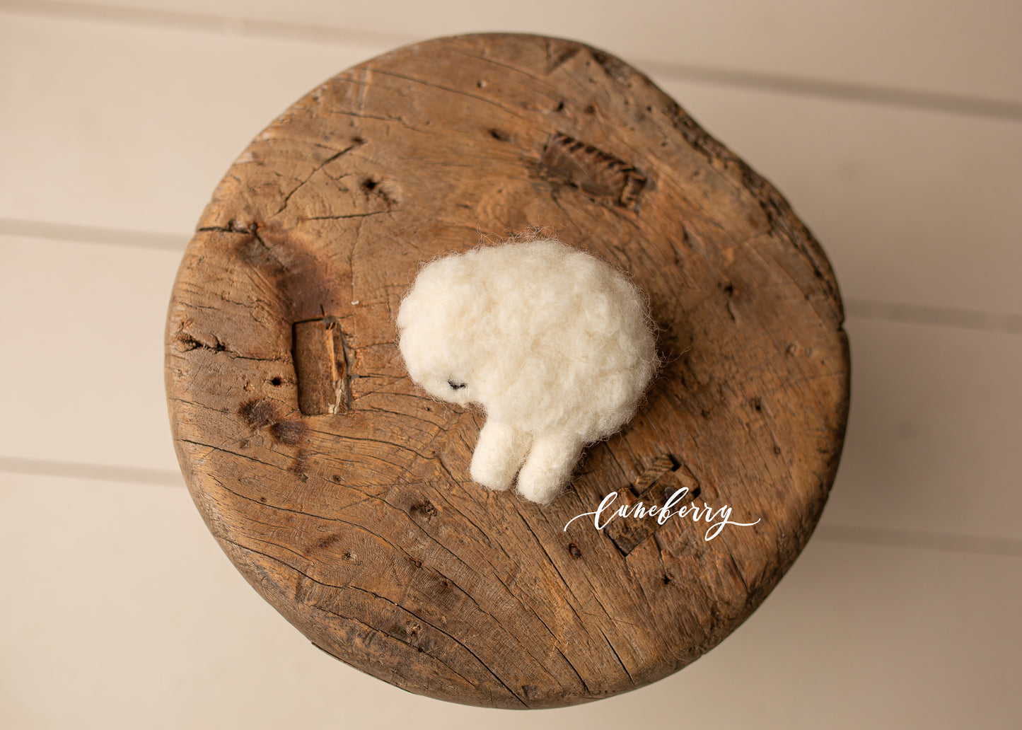 Little Felty Friends