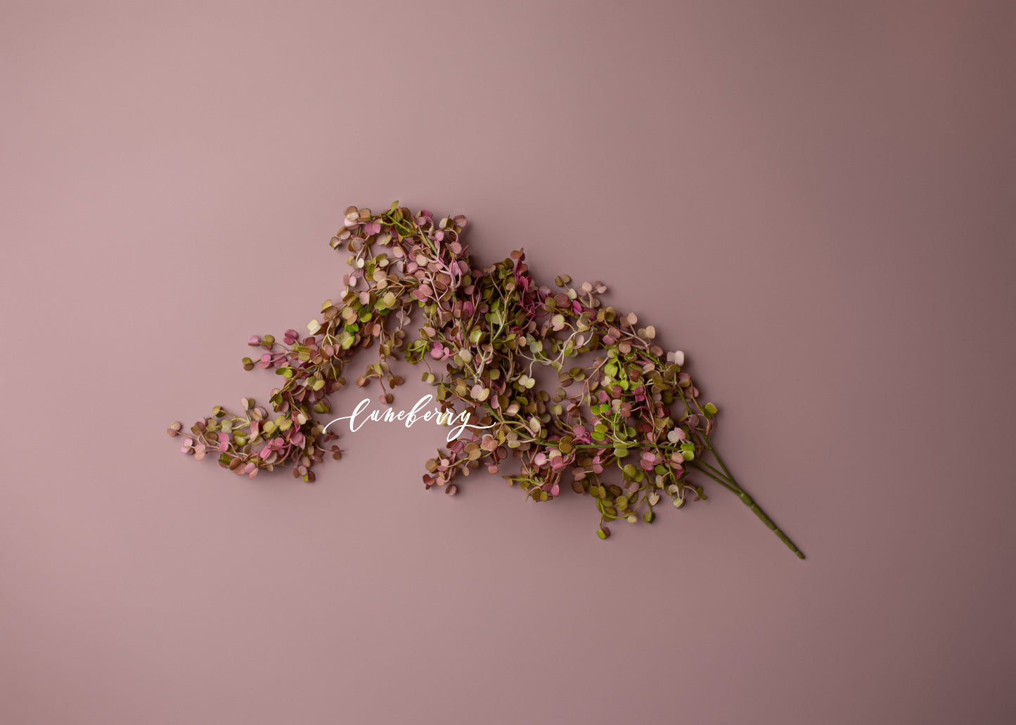 MAE BERRY floral stem - NN Seamless