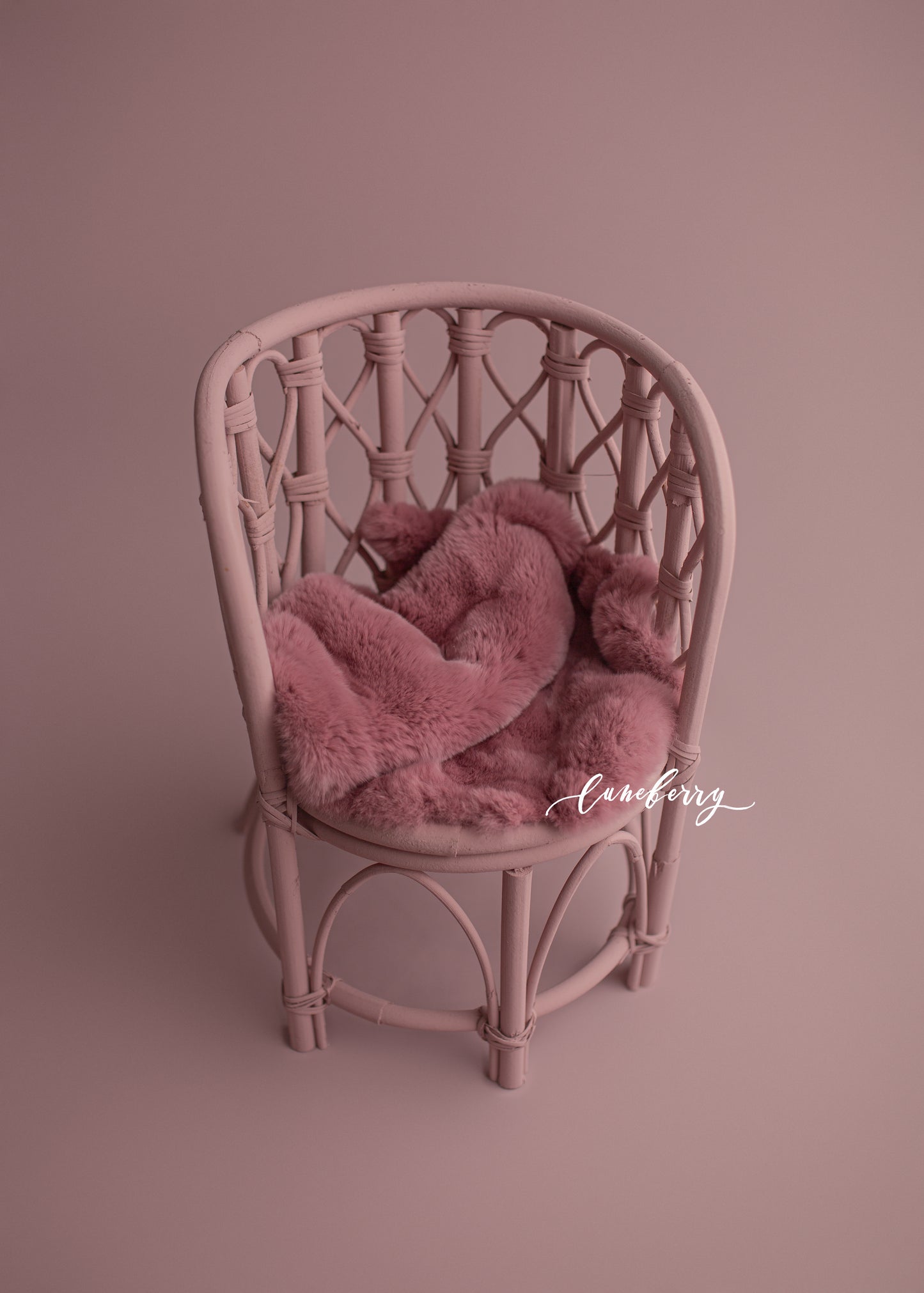 MAE BERRY Sitter Chair Set 1 - NN Seamless