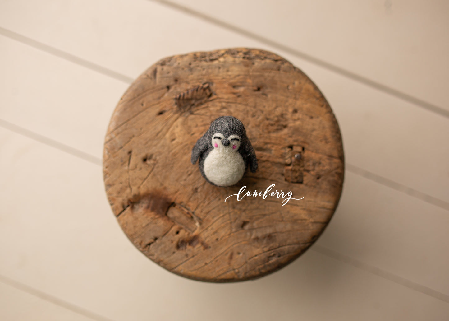 Little Felty Friends