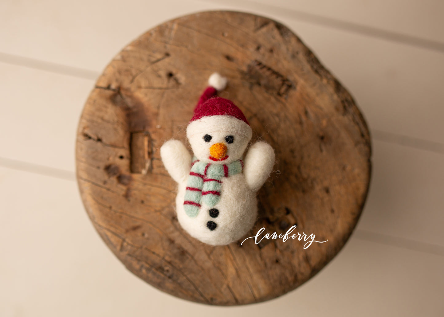 Little Felty Friends