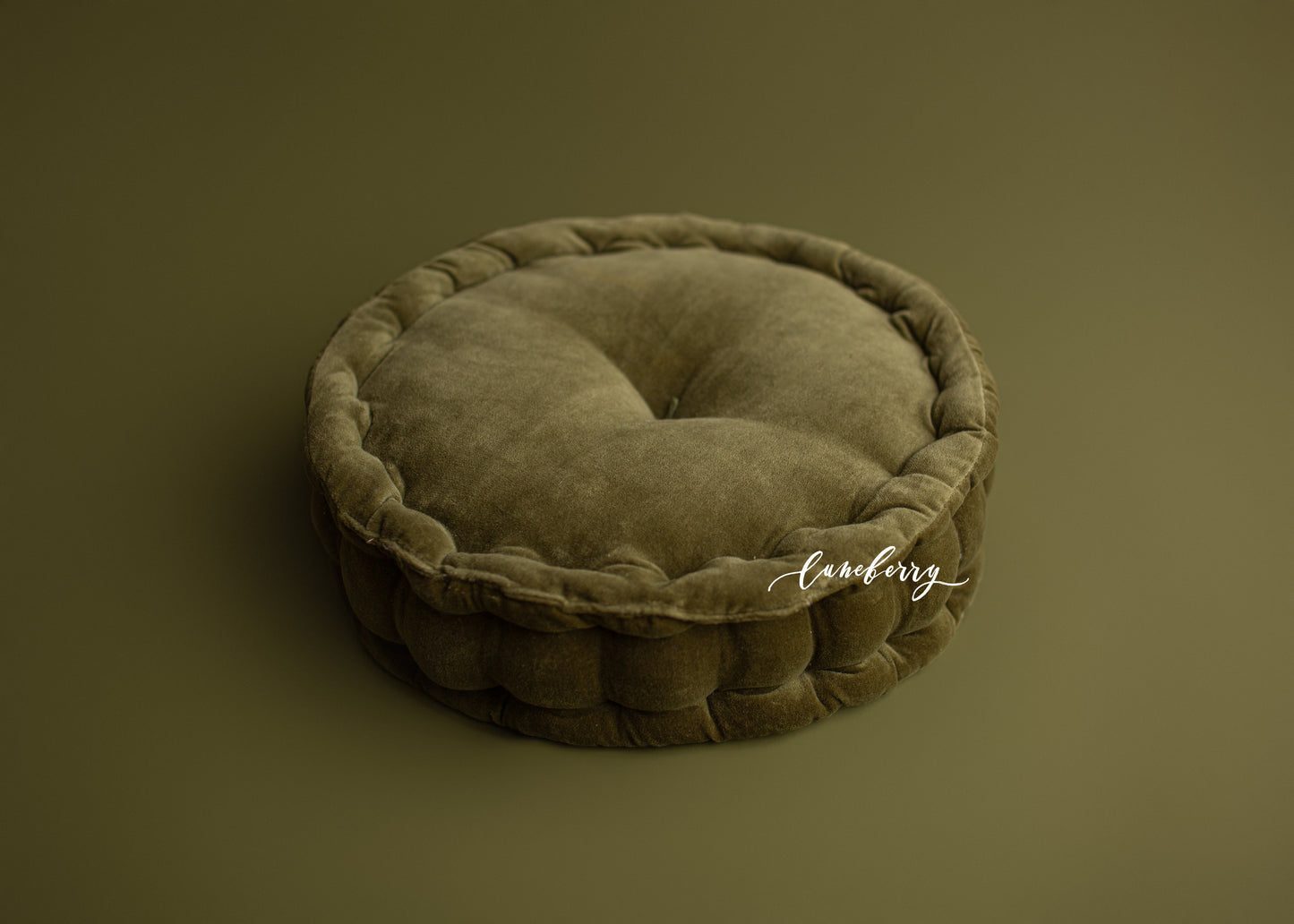 SWAMP Sitter Cushion- NN Seamless