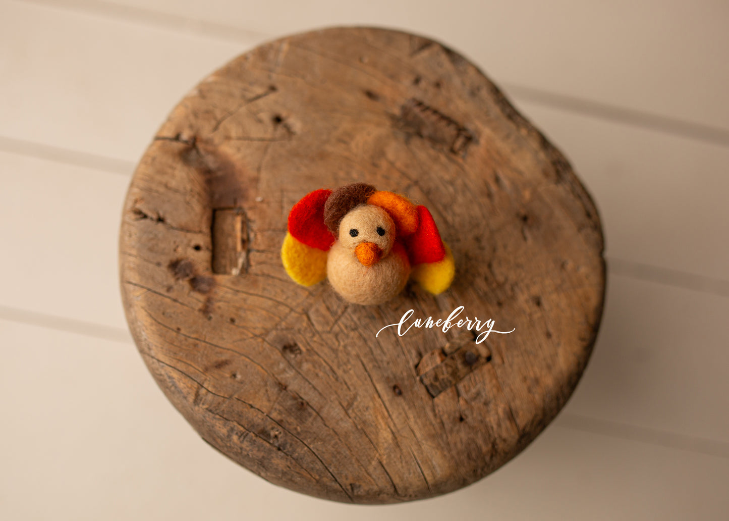 Little Felty Friends