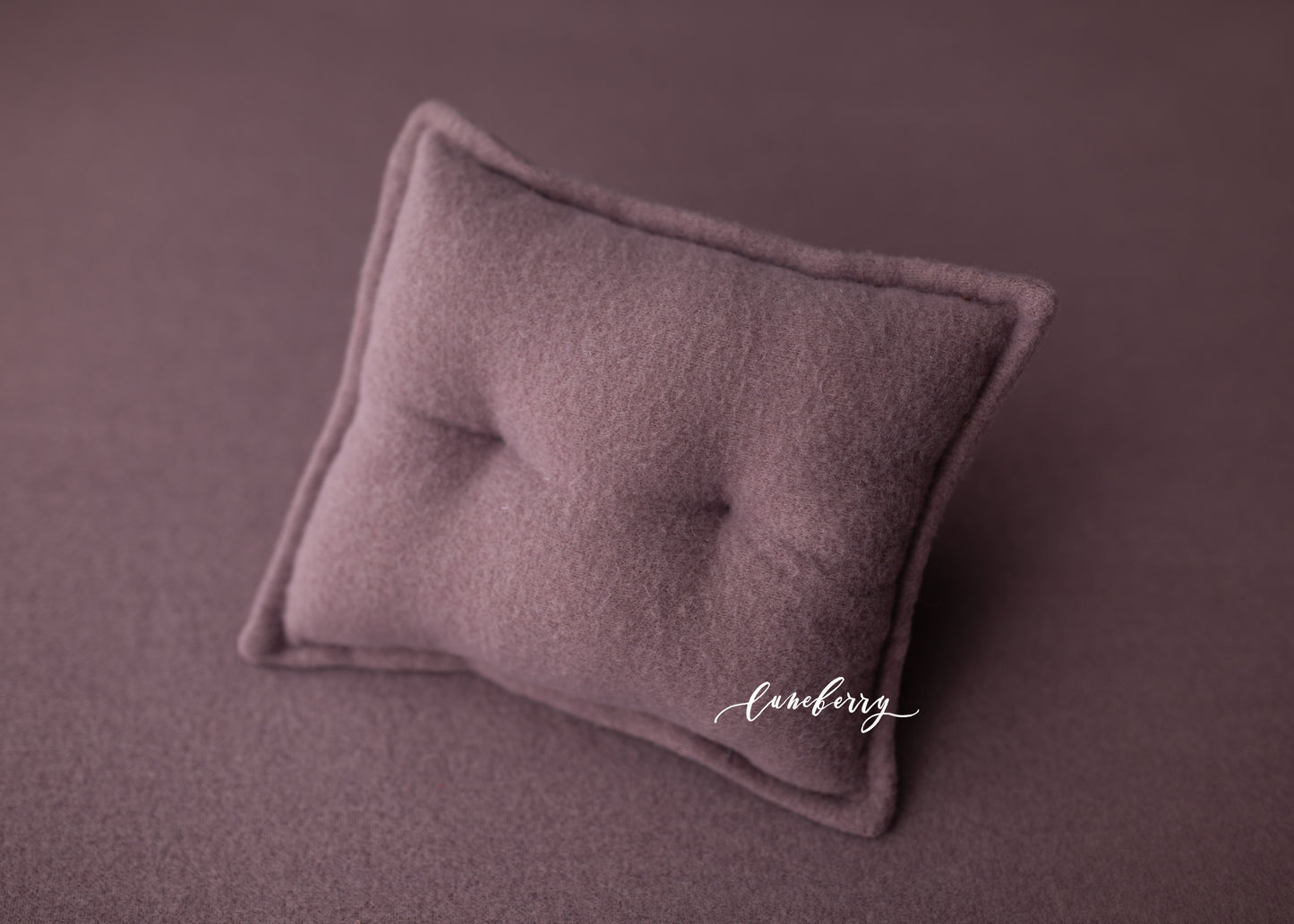 WINTER BERRY Fabric