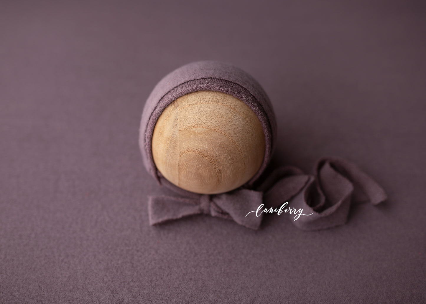 WINTER BERRY Fabric