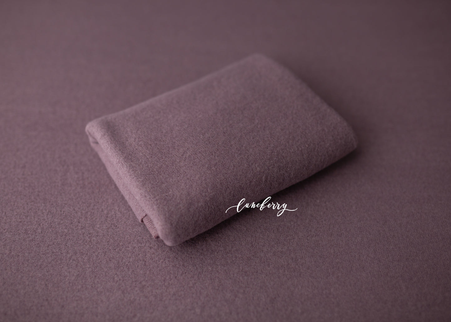WINTER BERRY Fabric