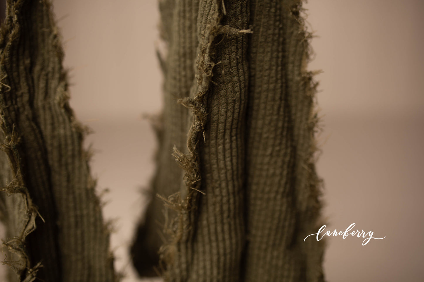 Corduroy Christmas Trees