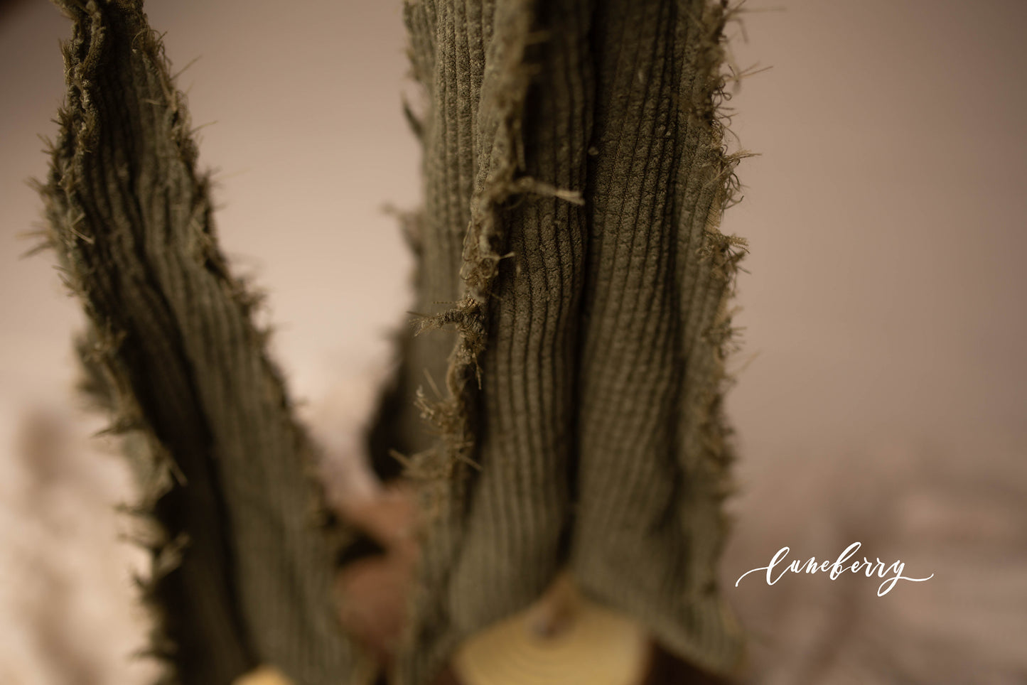 Corduroy Christmas Trees