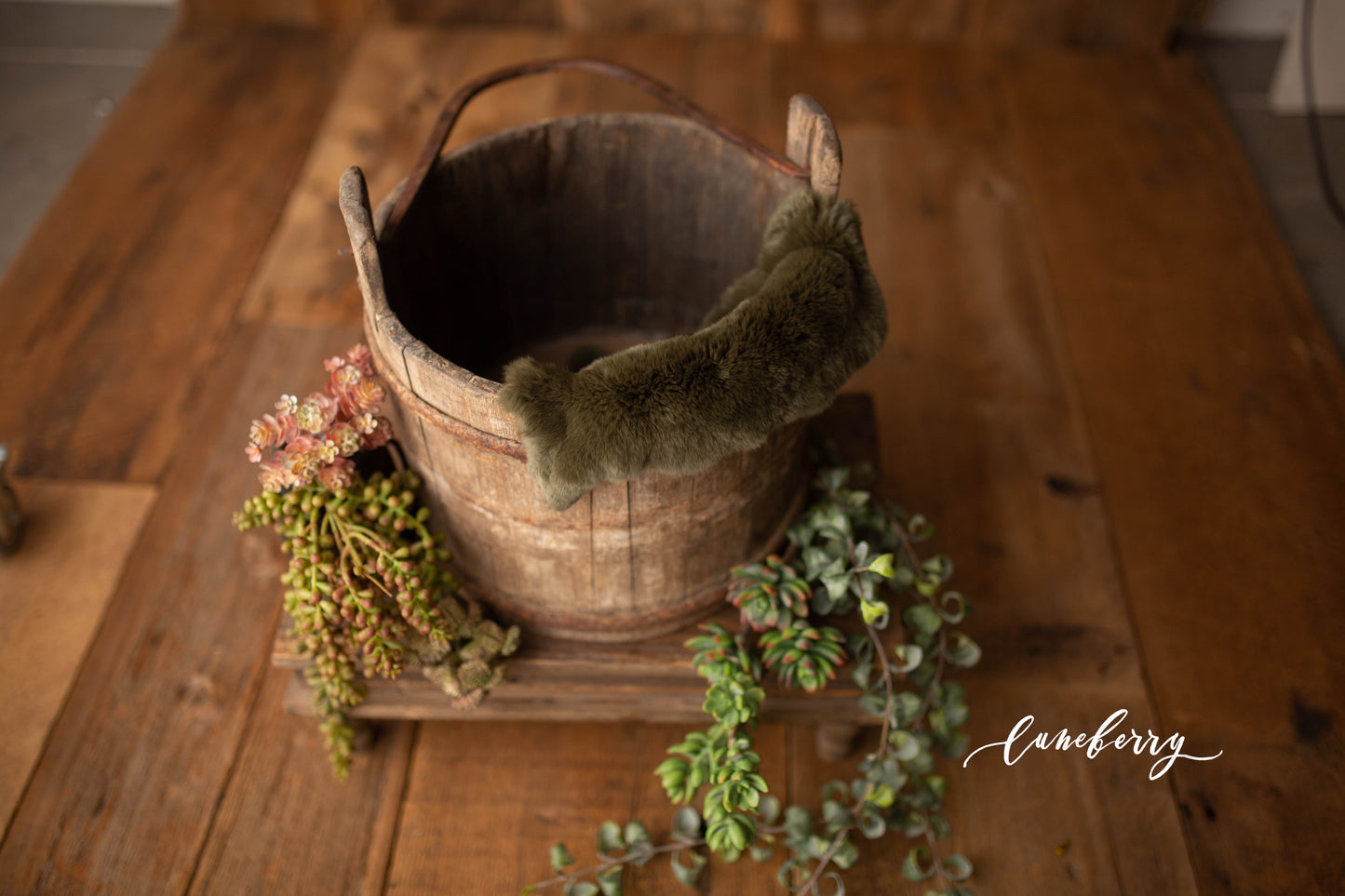 Farm Bucket Succulent Styled Set