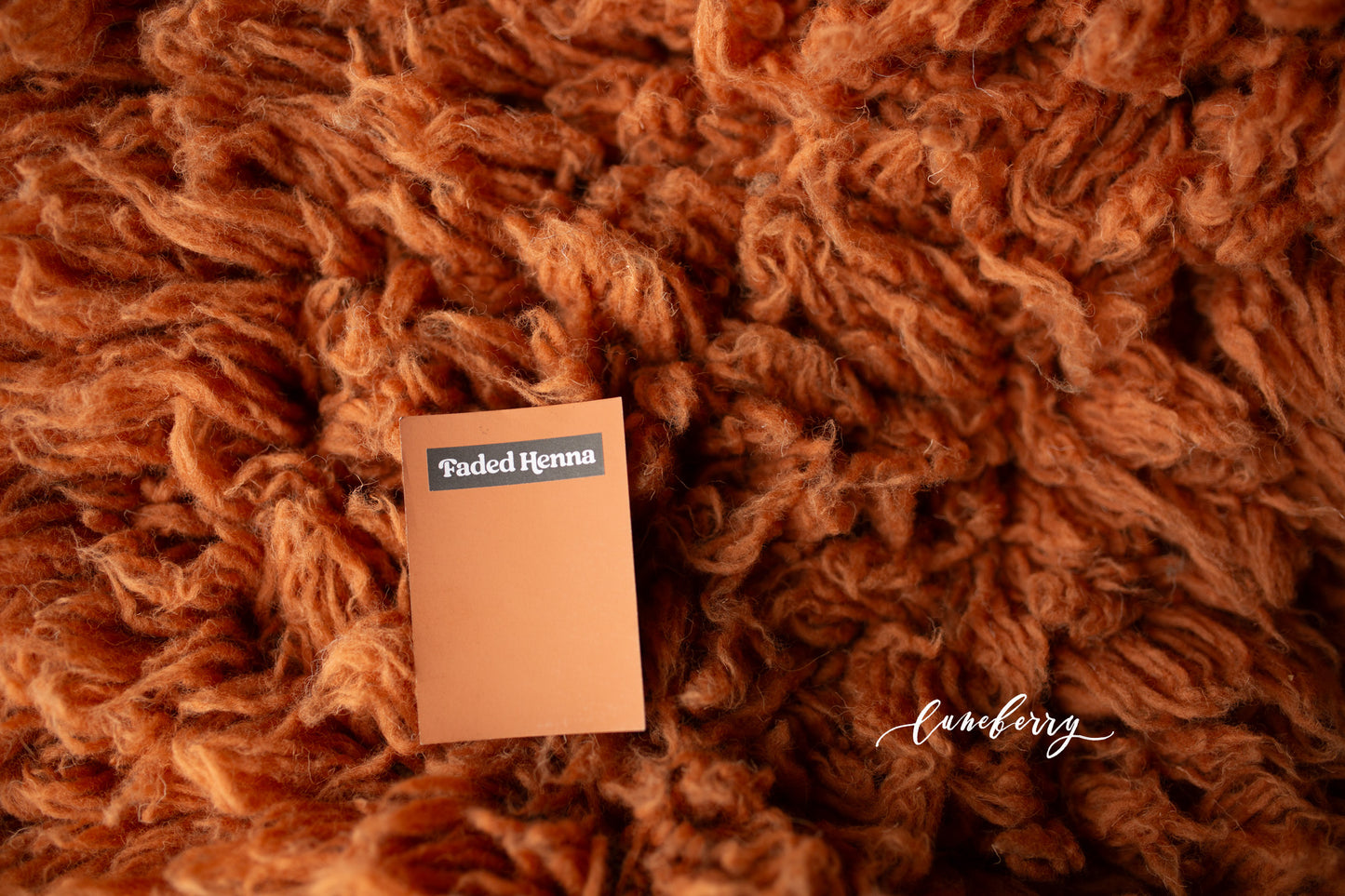 SPICED CIDER