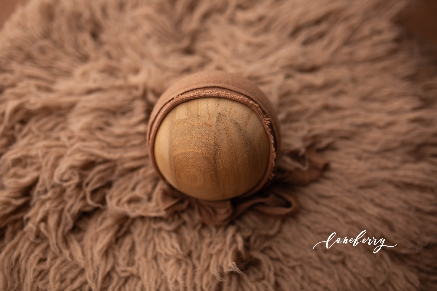 TOASTED Fabric