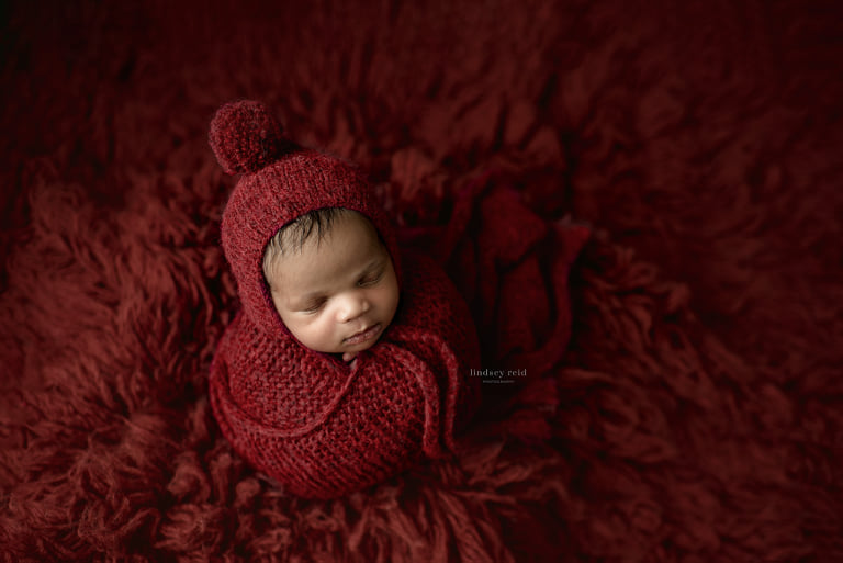 CONCERTO Premium Wool Flokati