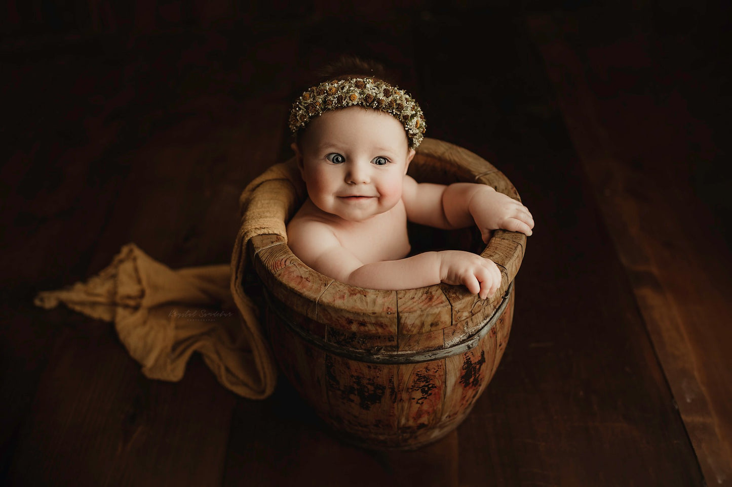 Pooh Bear Buckets (Honey Bucket) Number 200-220