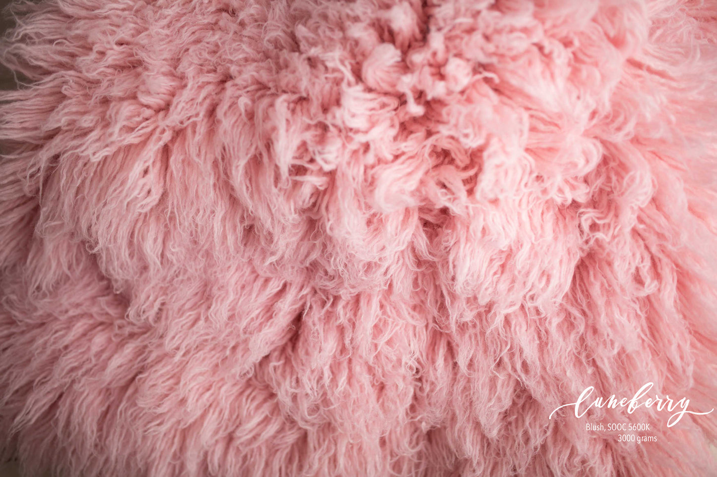 BLUSH Premium Wool Flokati