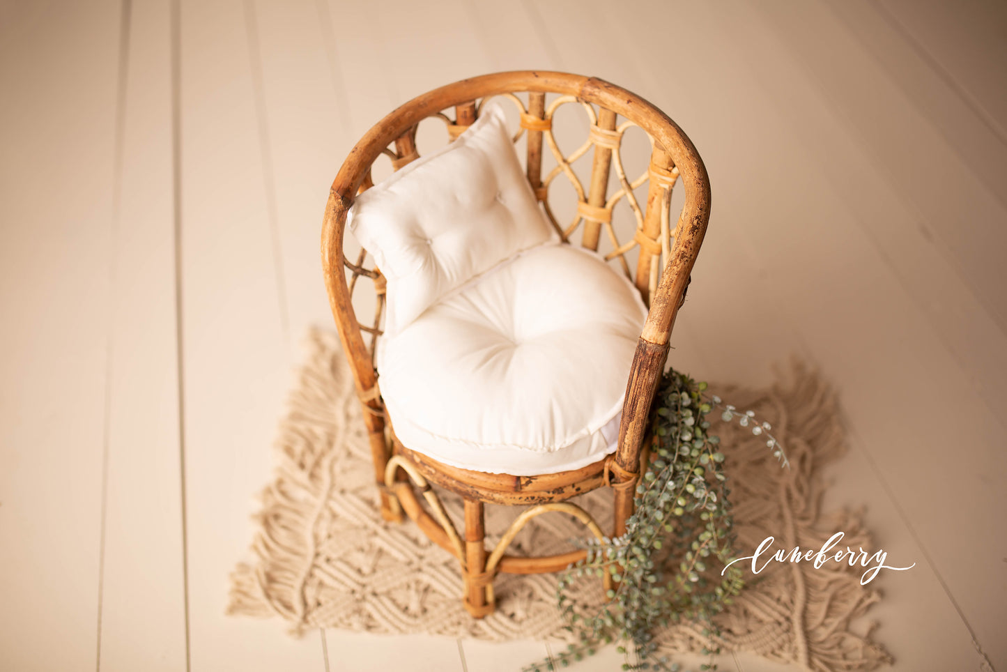 Iris Chair Styled Set