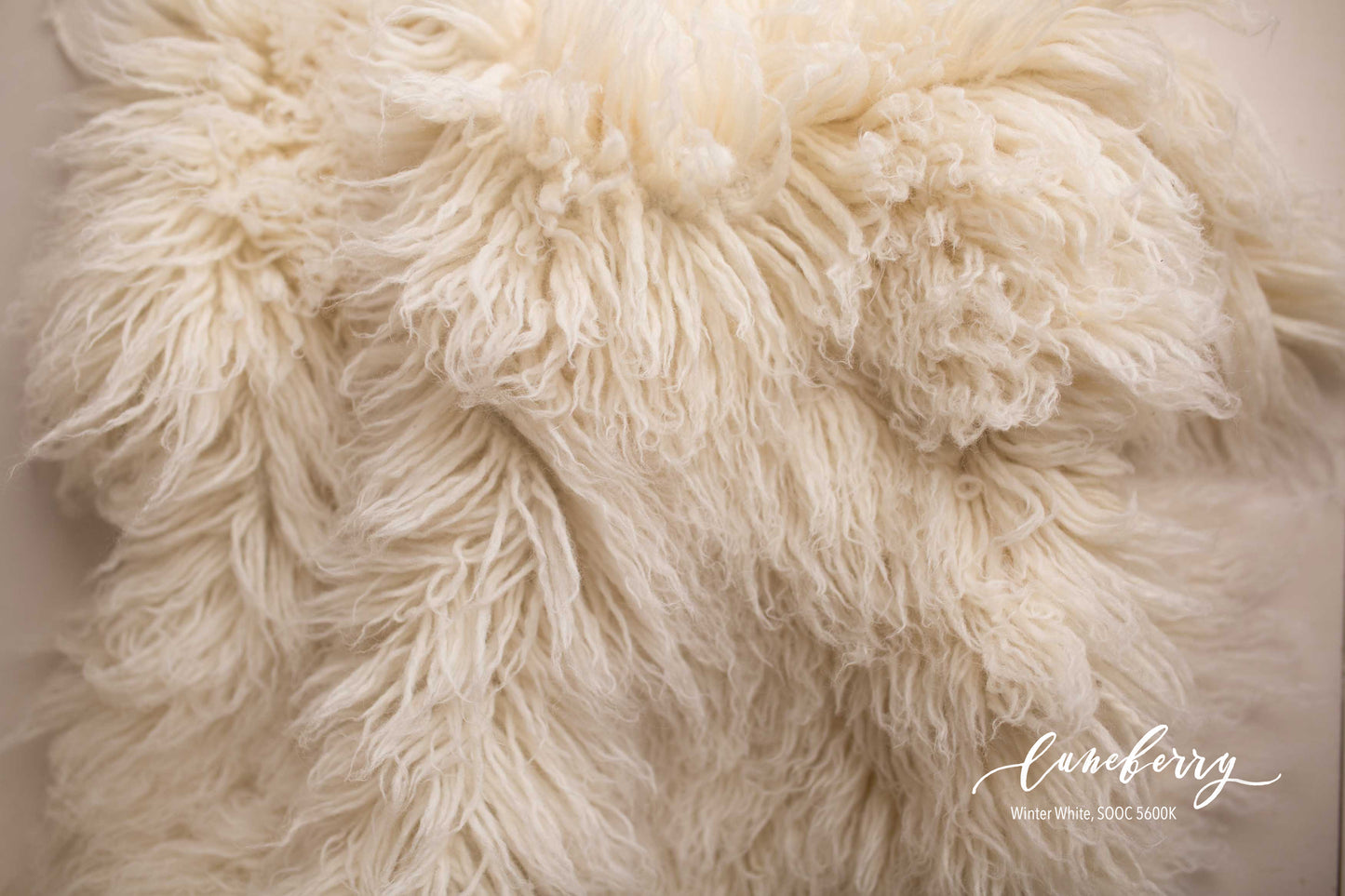 WINTER WHITE Premium Wool Flokati (Savage match)