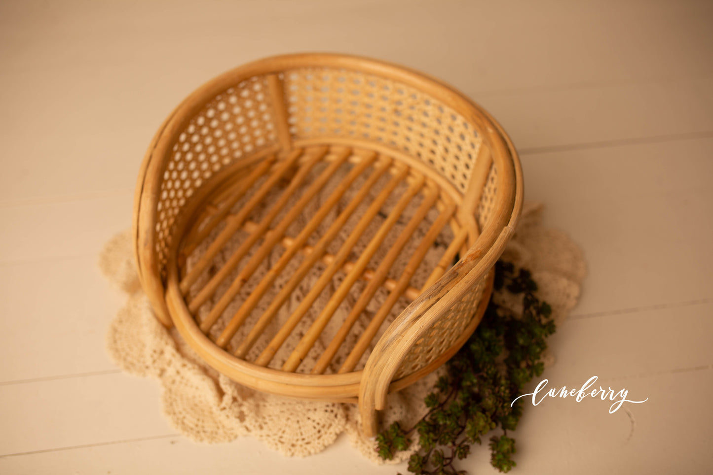Abby Bamboo Daybed
