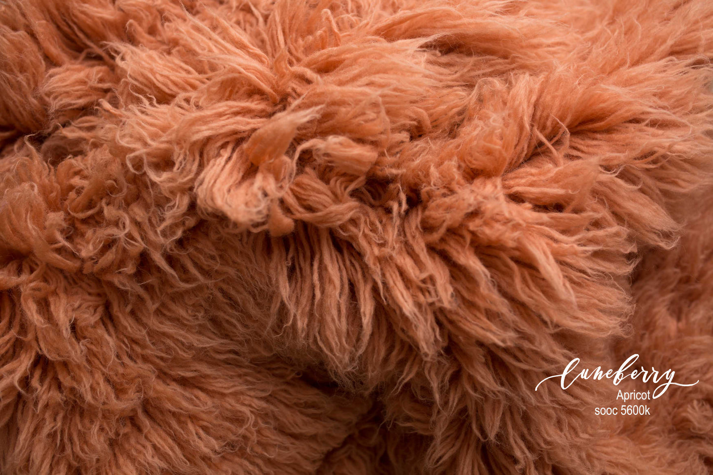 APRICOT Premium Wool Flokati