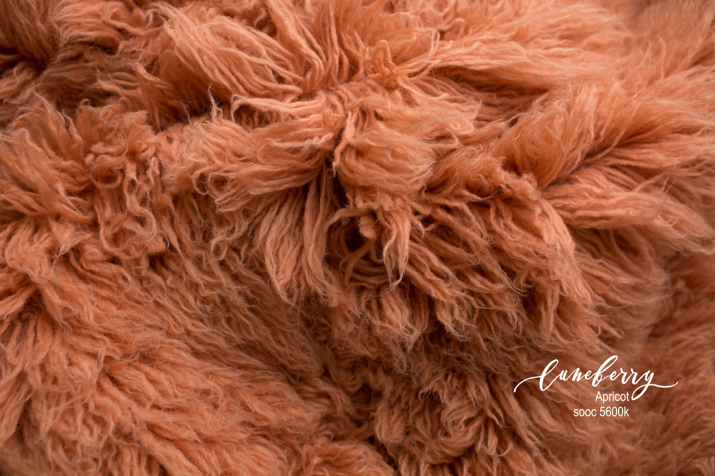 APRICOT Premium Wool Flokati