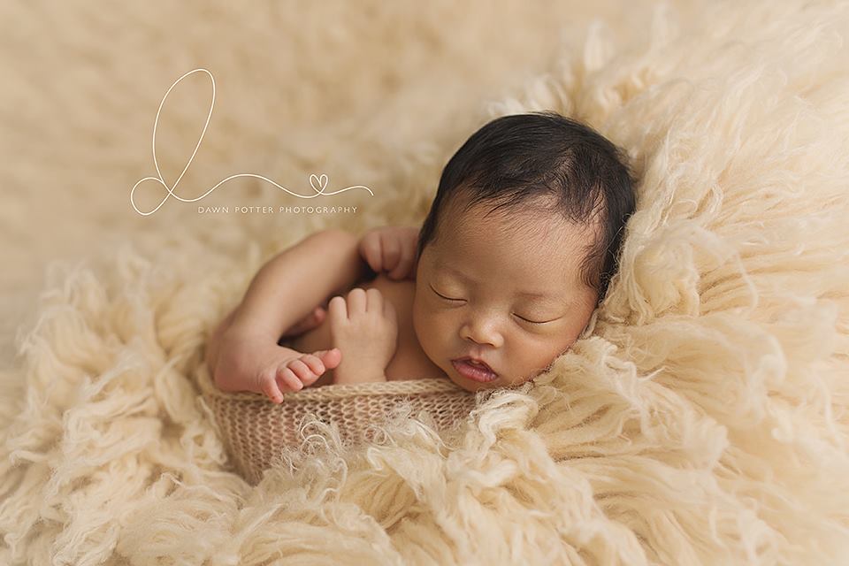 BONE Premium Wool Flokati *PRE-ORDER*
