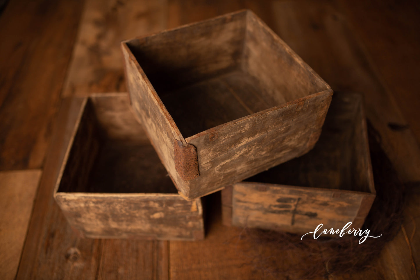 Bruno's Little Box