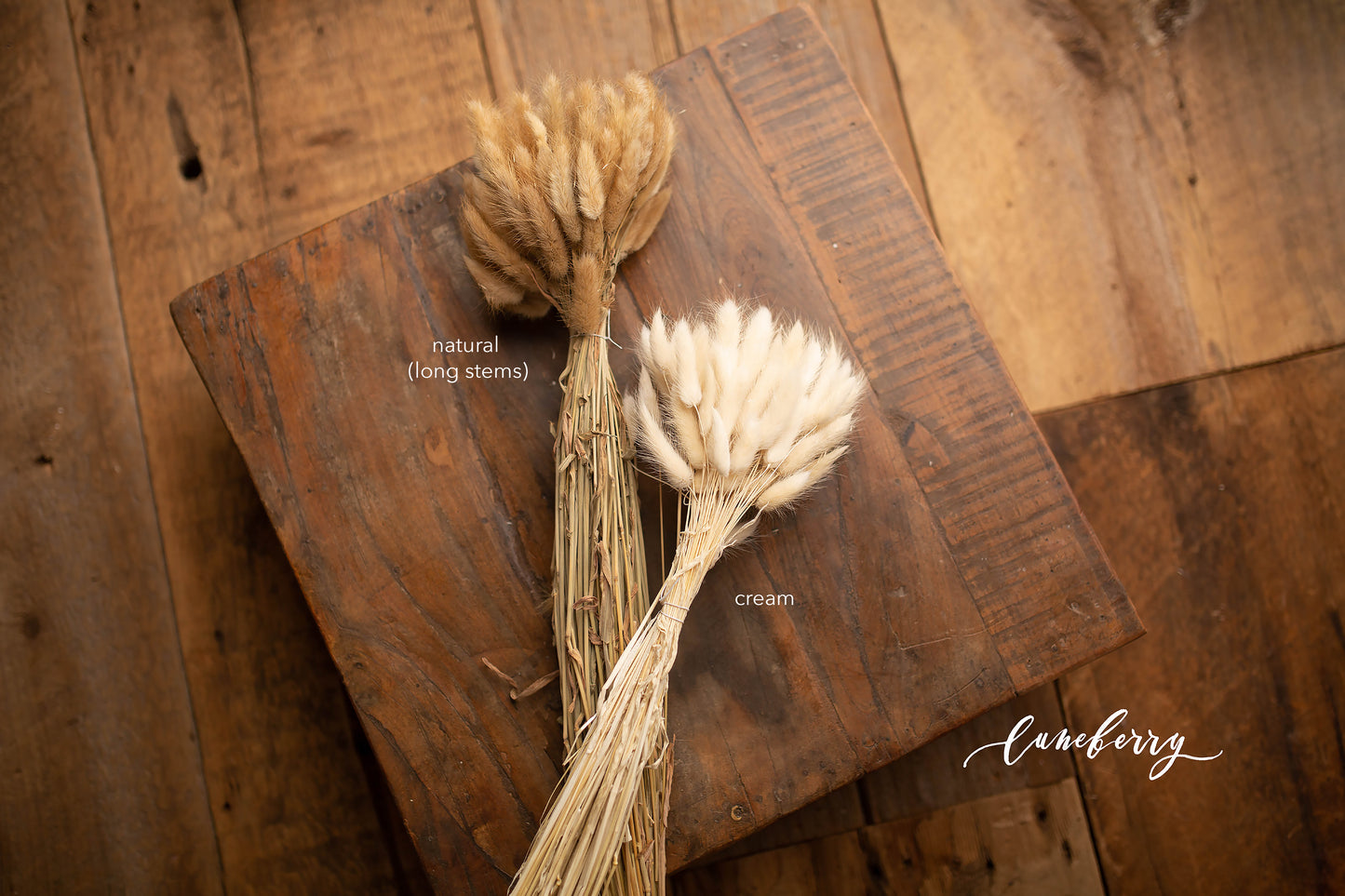 Bunny Tails Dried Natural bunch