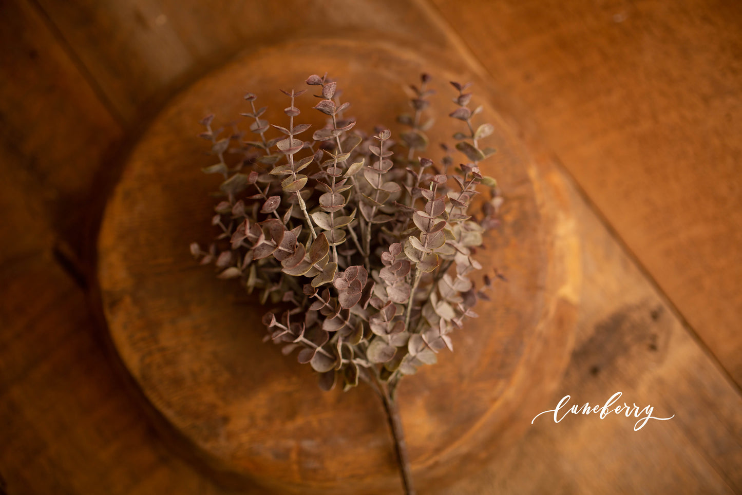 Eucalyptus Purple Bunch