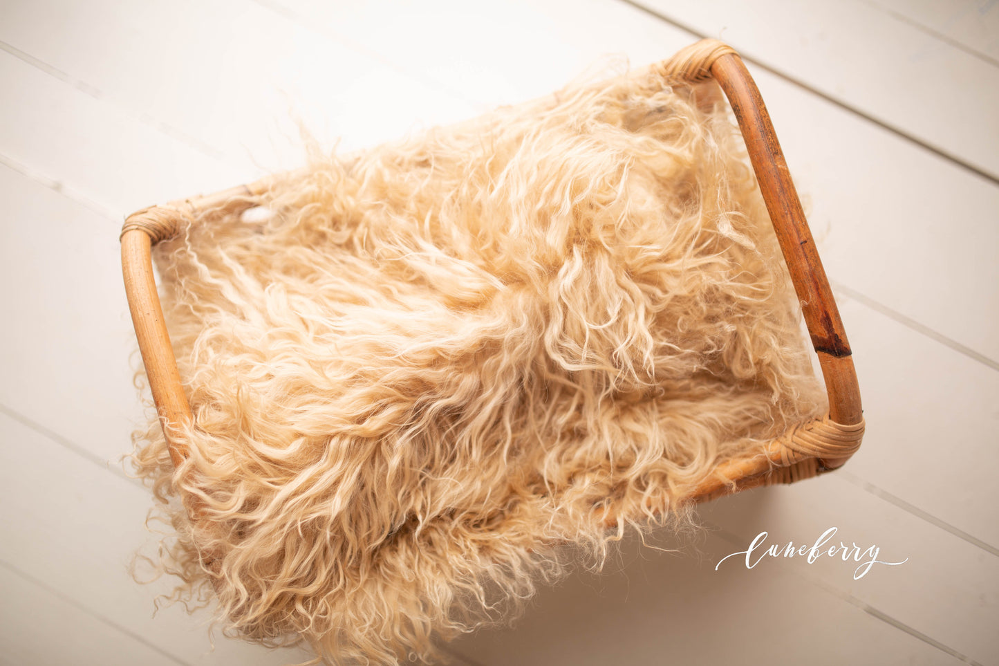 Champagne Sheepskin & Rabbit Fur