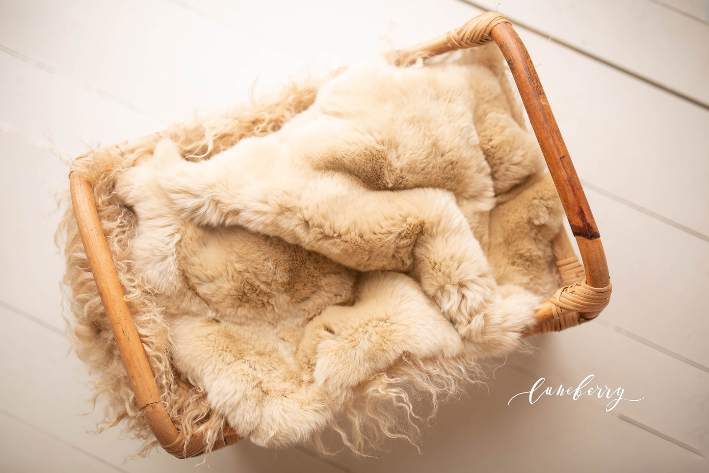 Champagne Sheepskin & Rabbit Fur