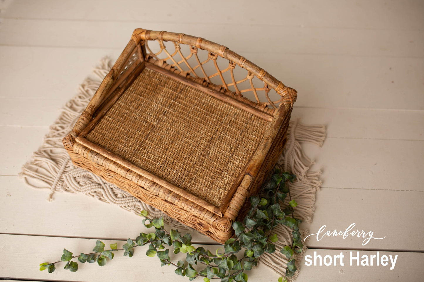 Harley Bamboo Daybed