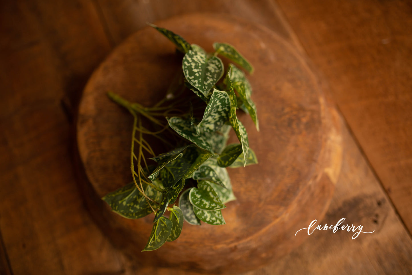 Heart Leaf Bunch