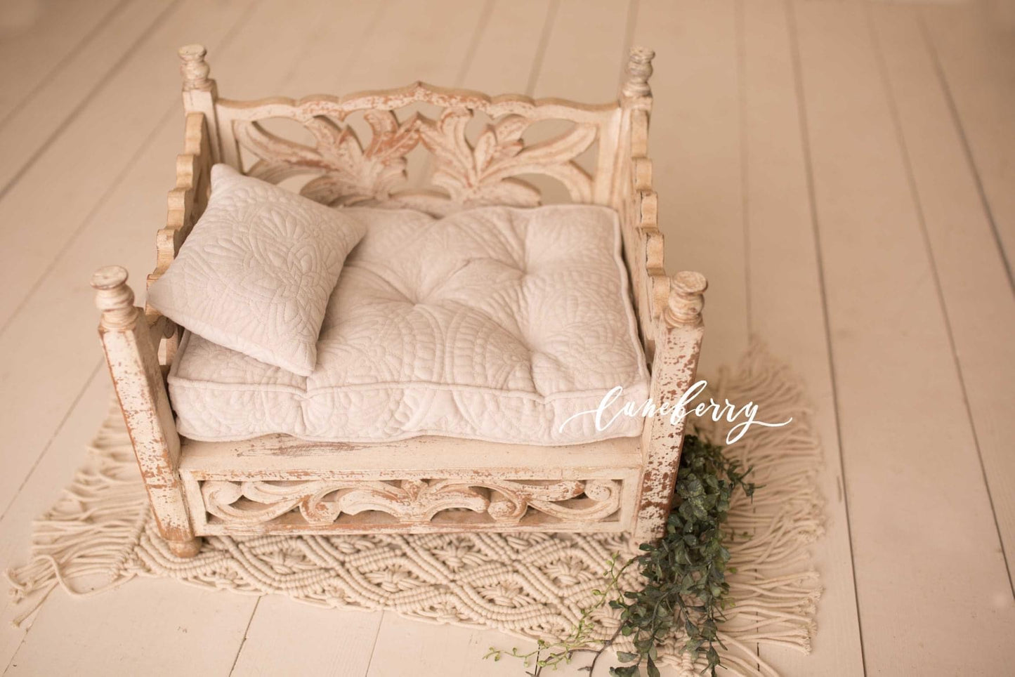 Chapina Carved Daybed Deluxe Set
